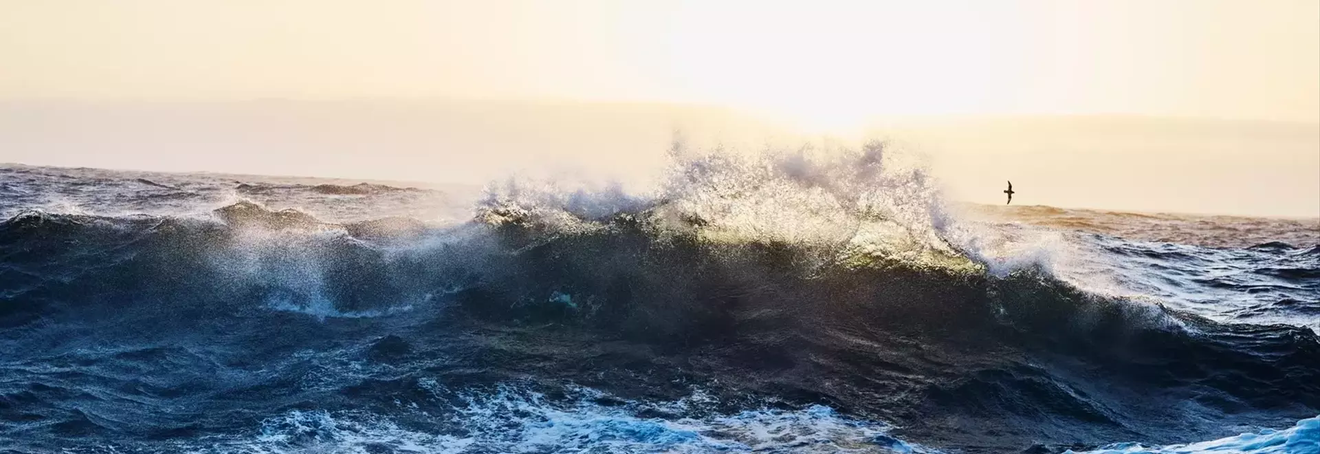 OceanFirst Financial Corp. Bolsters Presence with Strategic Acquisition, Reports Steady Q2 Performance