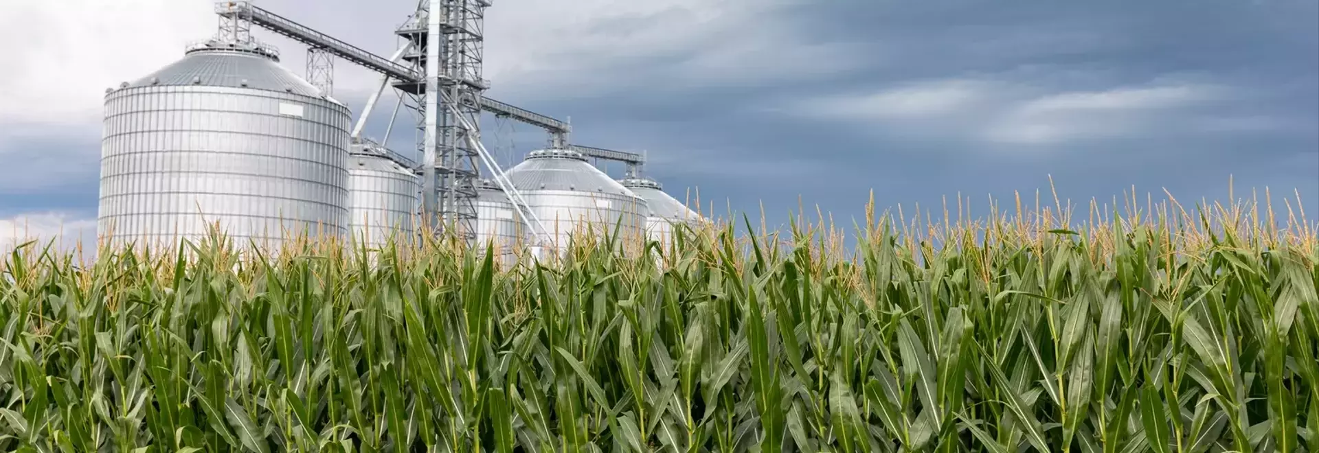 Alto Ingredients: A Promising Investment in Renewable Fuels
