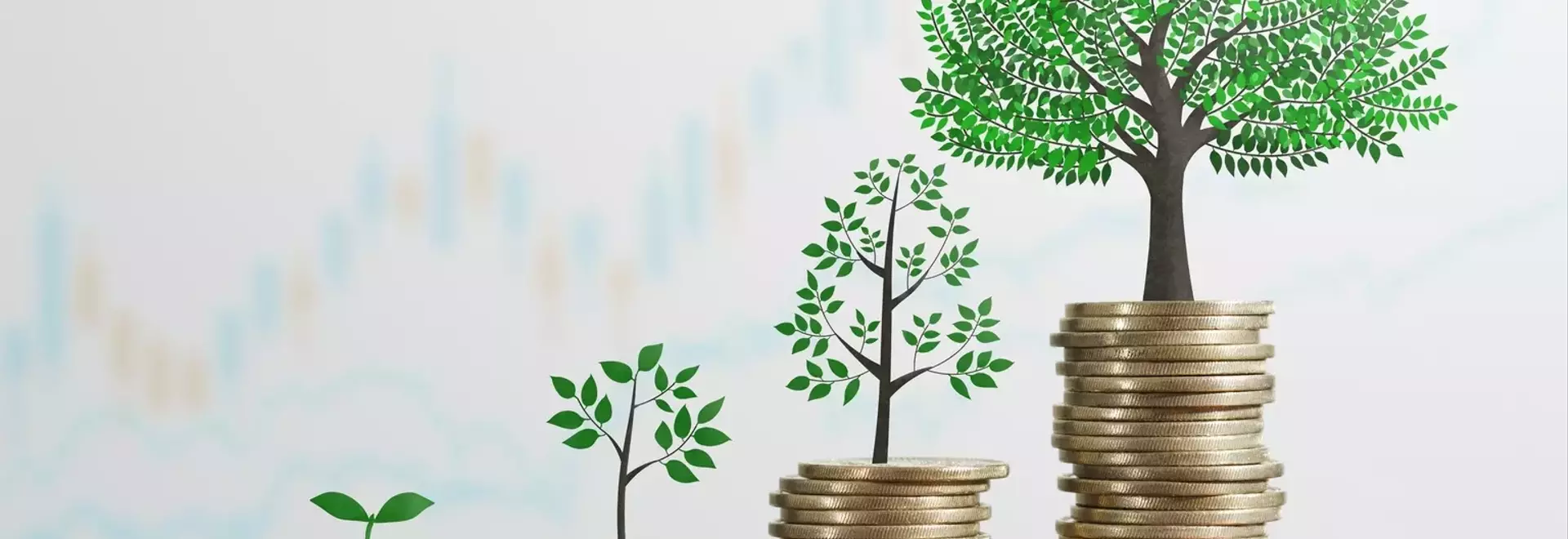 A Prudent Approach to Dividend Growth Investing