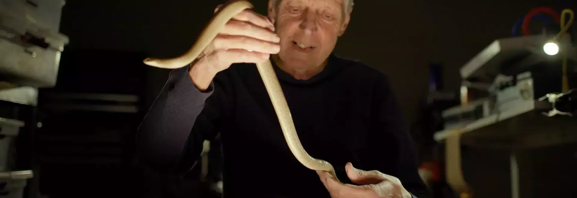 HBO's 'Monsters of God' Explores the Nuances of Reptile Trafficking