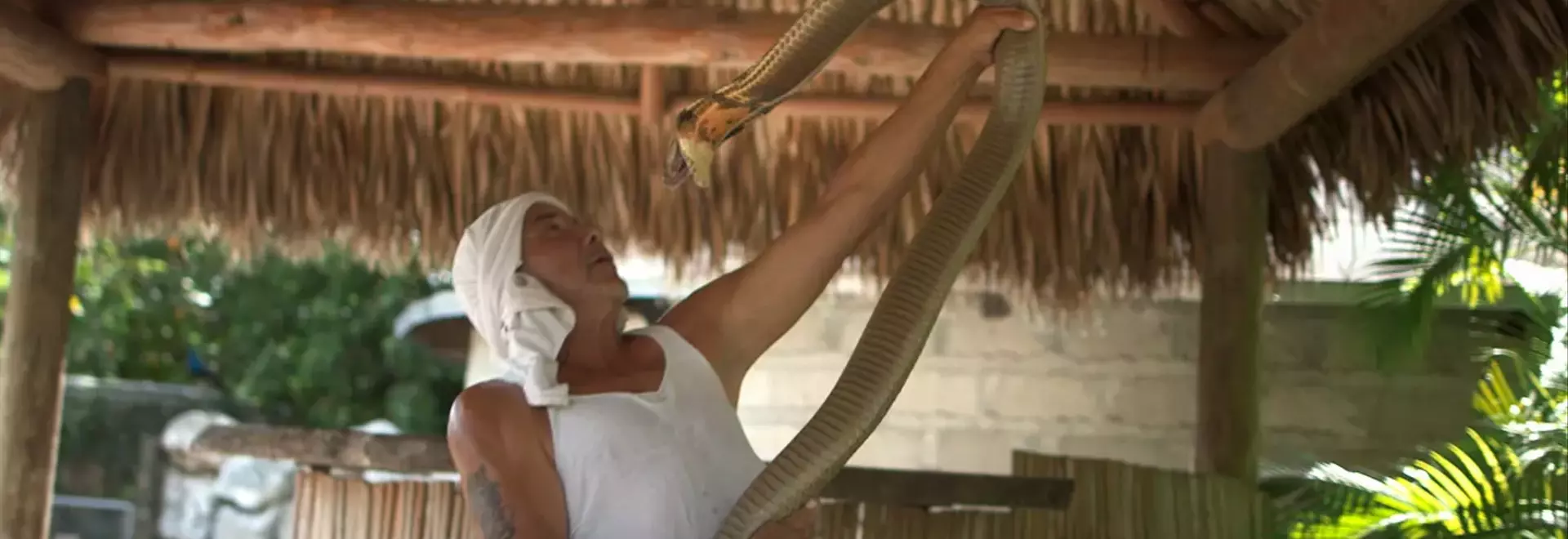 Unveiling the True "Monsters of God": Eric Goode's Journey from "Tiger King" to Reptile Trafficking Exposé