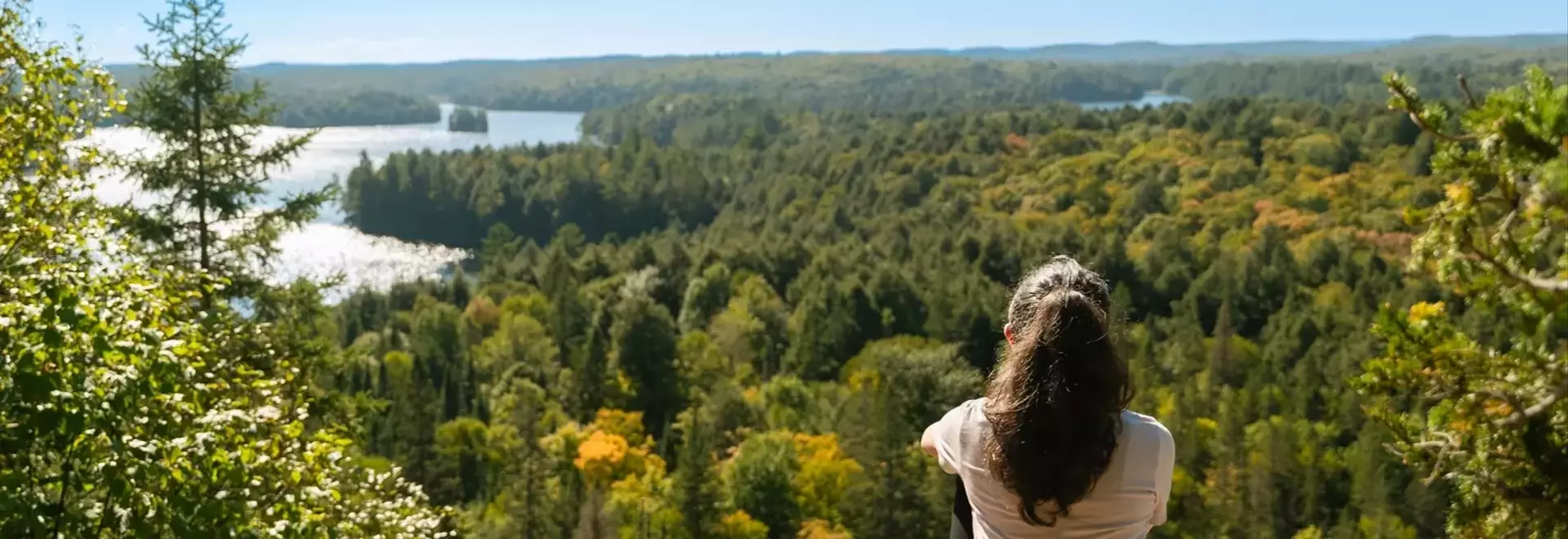 Algonquin Power: A Strategic Shift Towards Stability and Growth