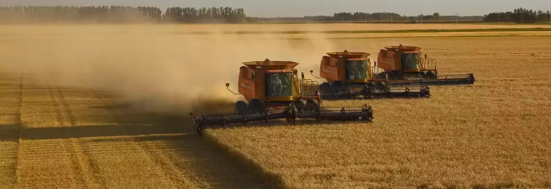 Diversifying Investments: Exploring Opportunities in the Agricultural Sector