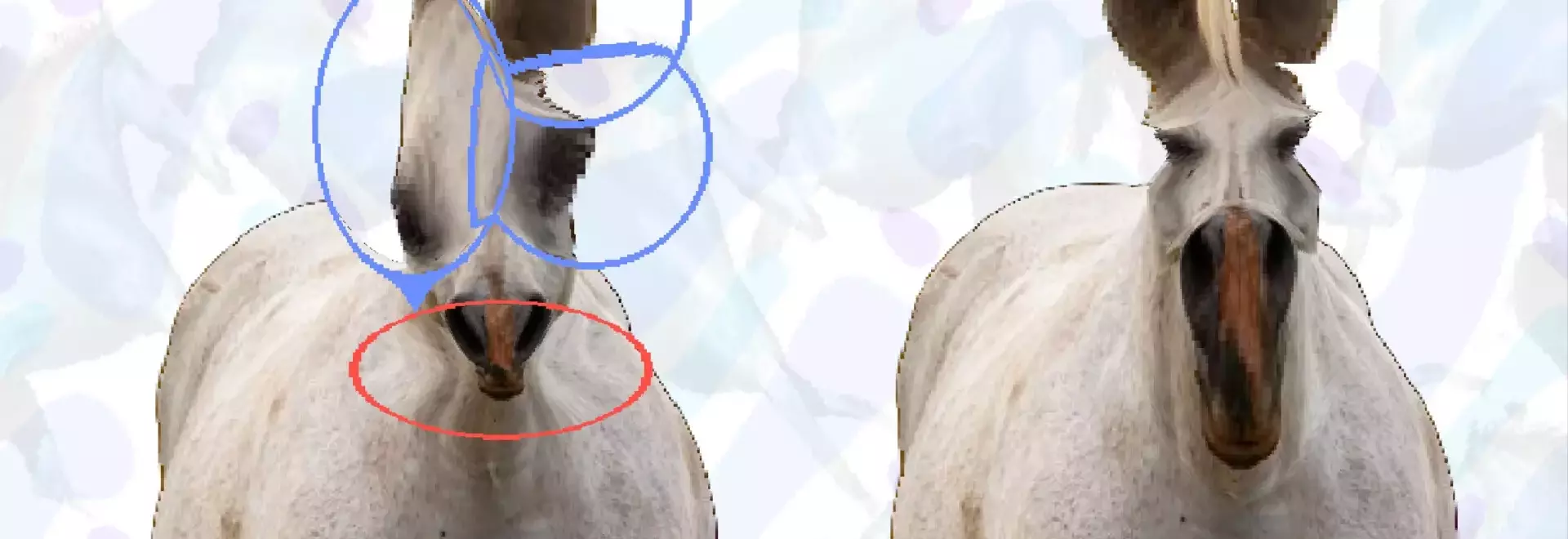 "Horse Magnifier: The Full Horse" Takes Steam by Storm with Unique Puzzle Gameplay