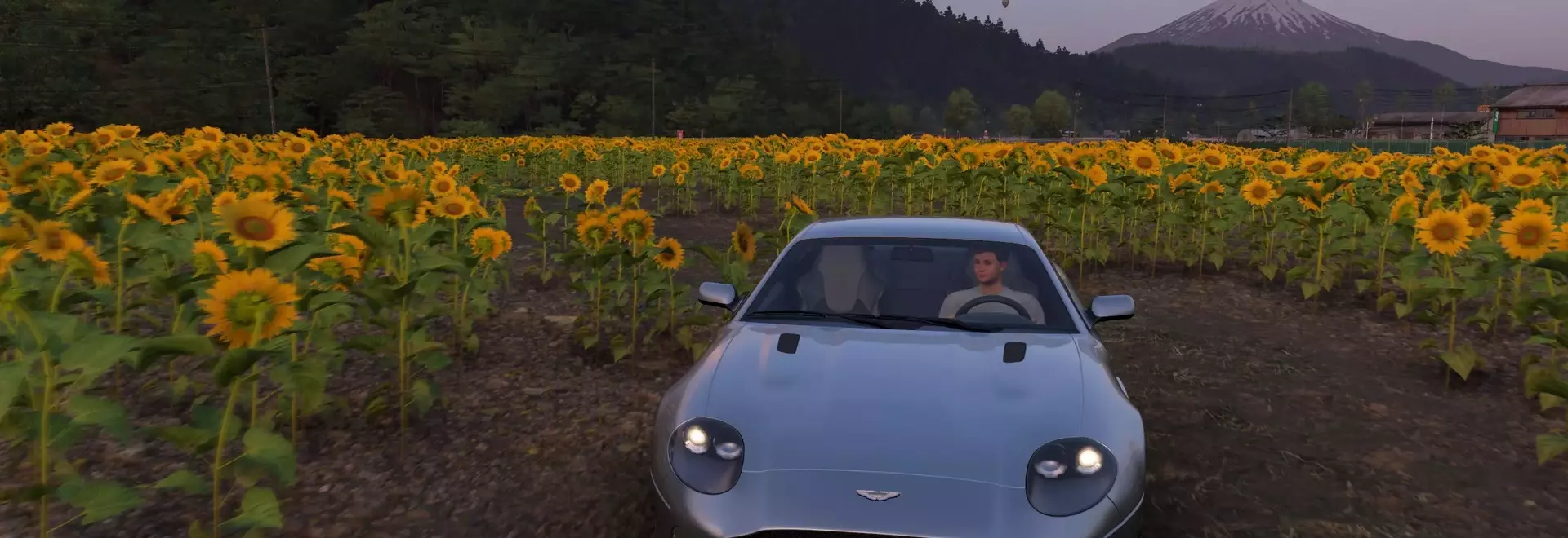 Where to Find Hokuryu Sunflower Farm in Forza Horizon 6