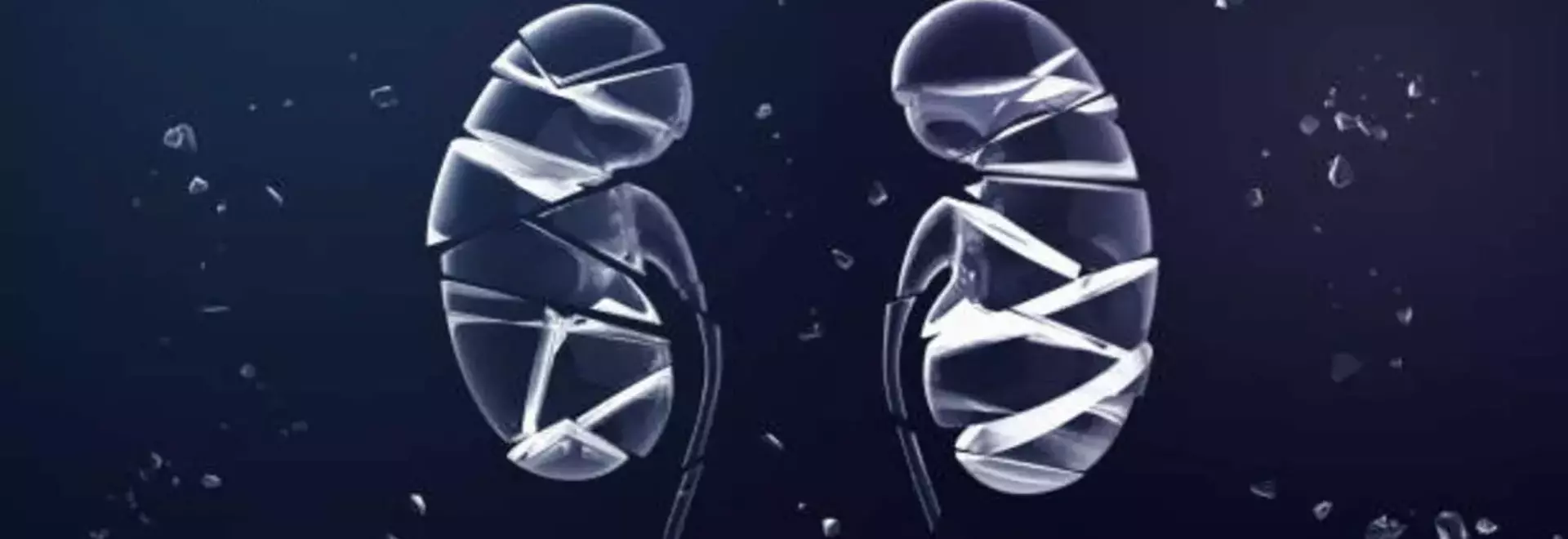 ProKidney's Rilparencel: A High-Stakes Bet on an Unproven Therapy