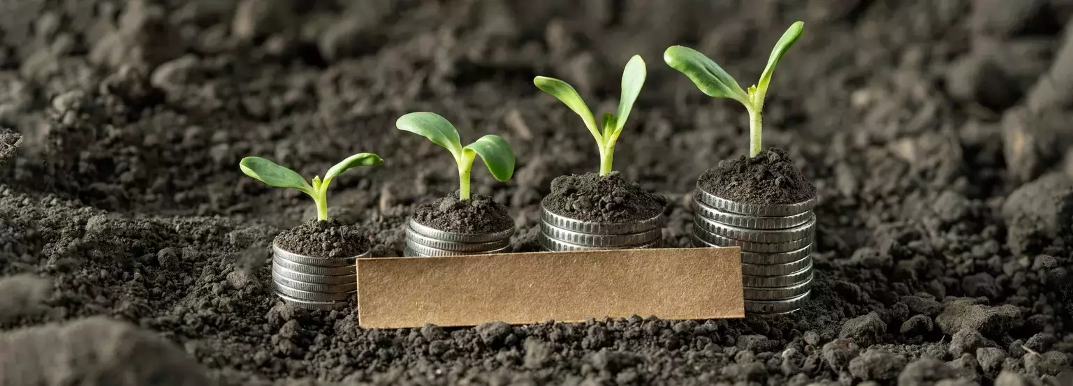 Virtus KAR Small-Mid Cap Growth Fund Q2 Performance Review