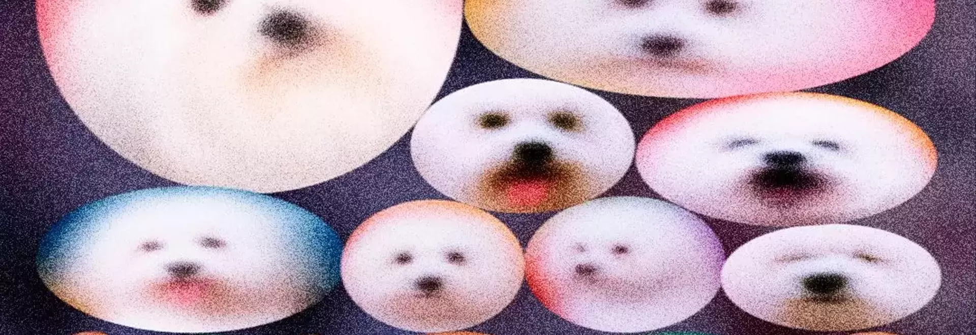 The Ethical Dilemma of Pet Cloning: Replicating Companionship
