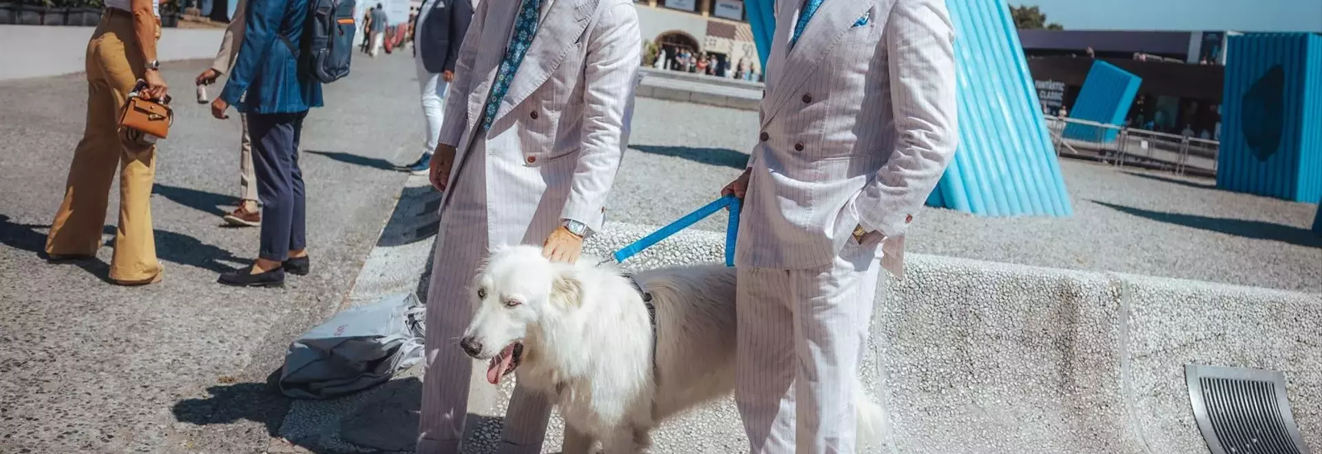 Fashion Week's Most Stylish Canines Steal the Spotlight