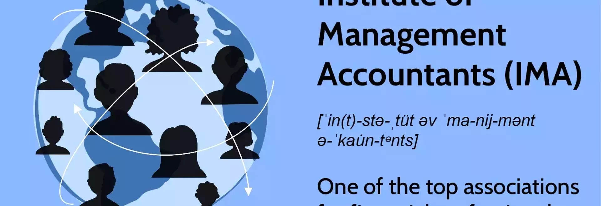 The Institute of Management Accountants: Promoting Excellence in Financial Professions
