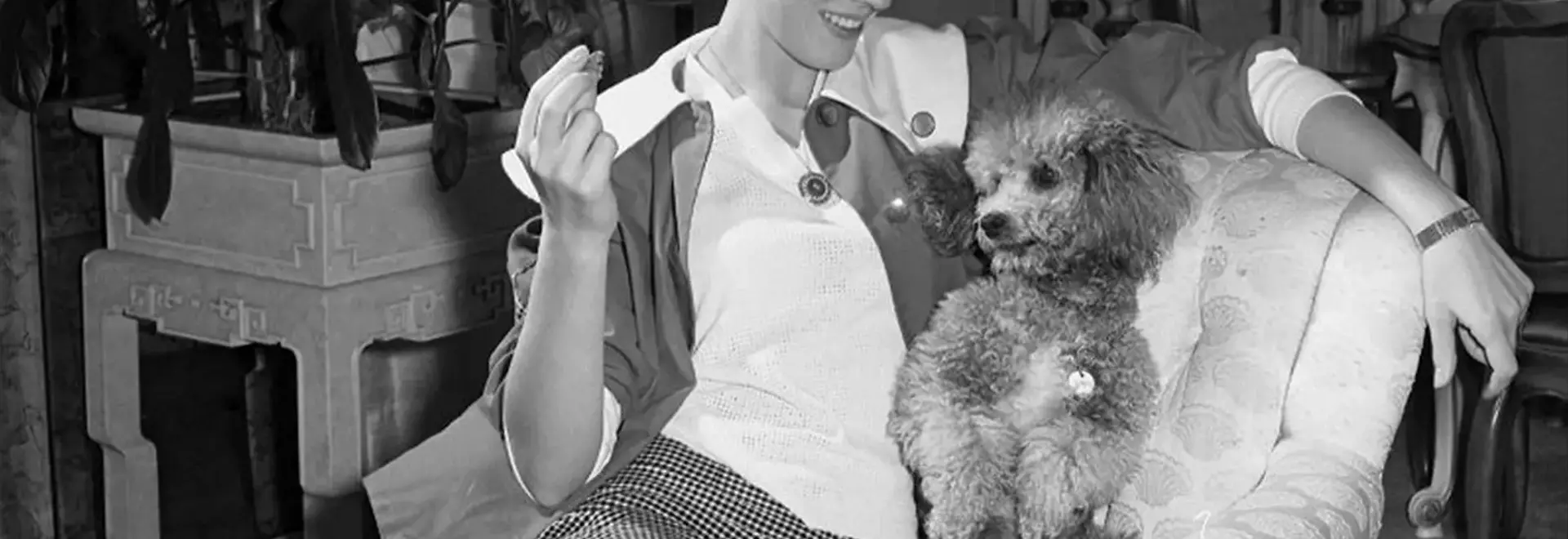 A Lifetime of Canine Companions: Julie Andrews and Emma Walton Hamilton's Enduring Love for Dogs
