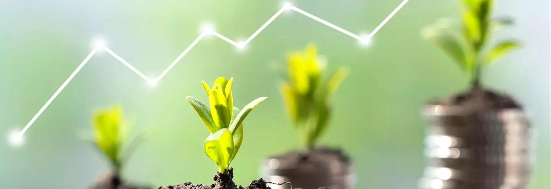 GRW's Q2 2026 Outperformance and Long-Term Strategy