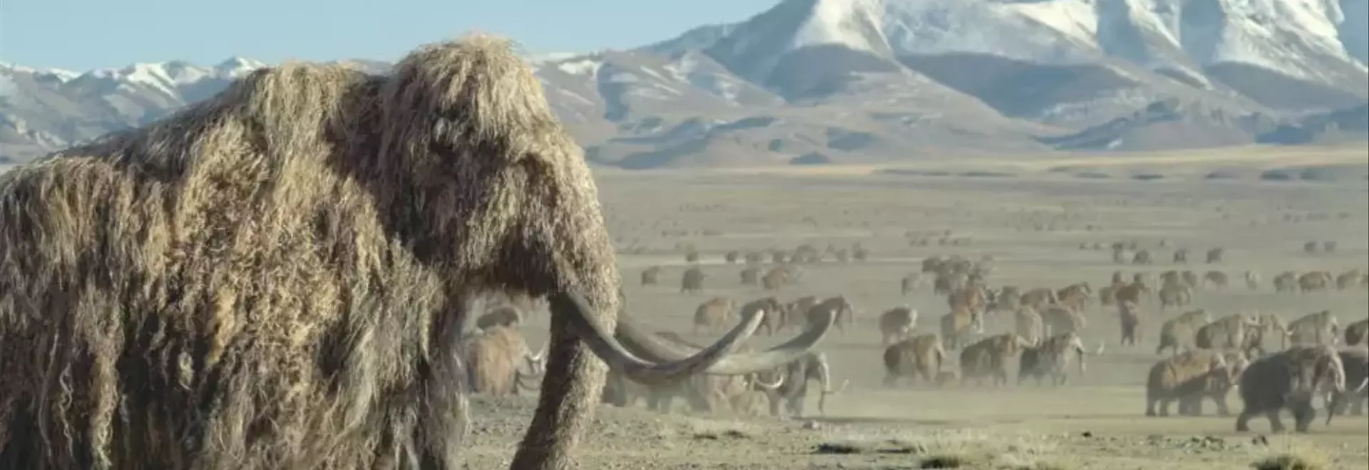 “Prehistoric Planet: Ice Age” Soundtrack Unleashes Ancient Sounds with Zimmer, Talve, and Rozman