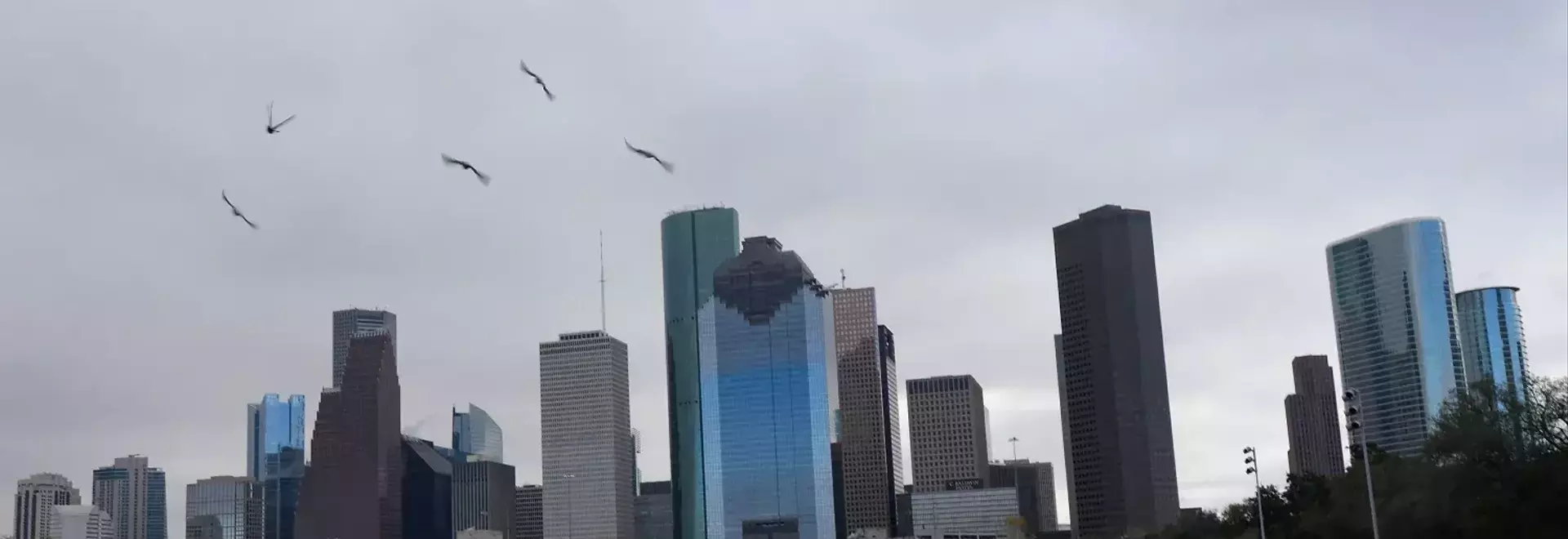 Houston: An Ideal Retirement Destination