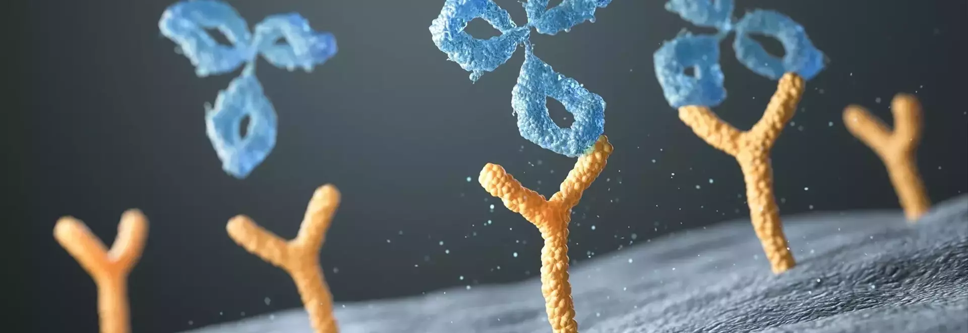 Regeneron's August Momentum: Dupixent's Dominance and New Drug Approval