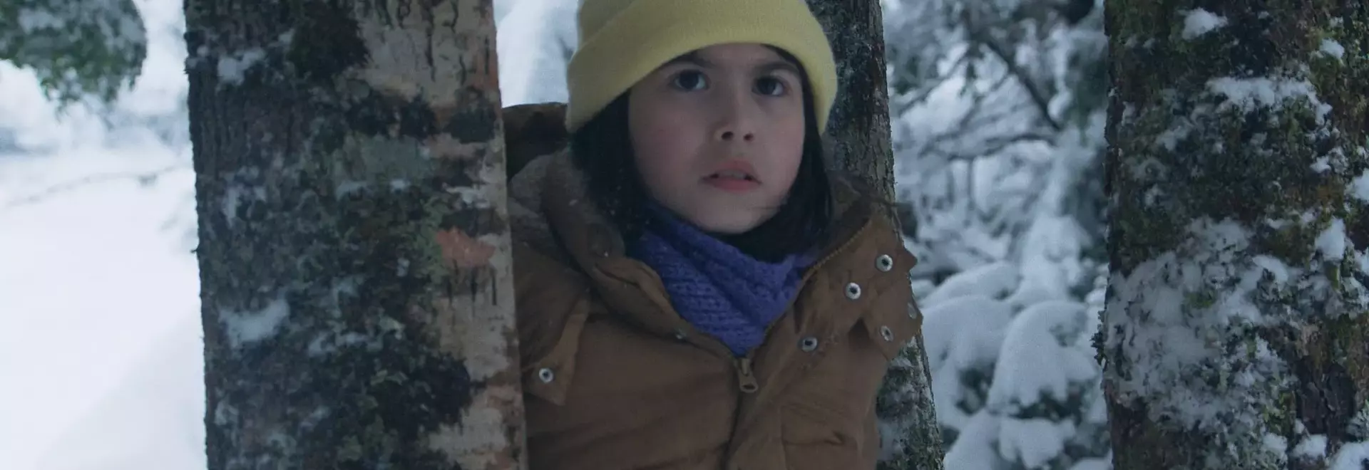 Chile's 'The Meltdown' Chosen for Oscars International Feature Race