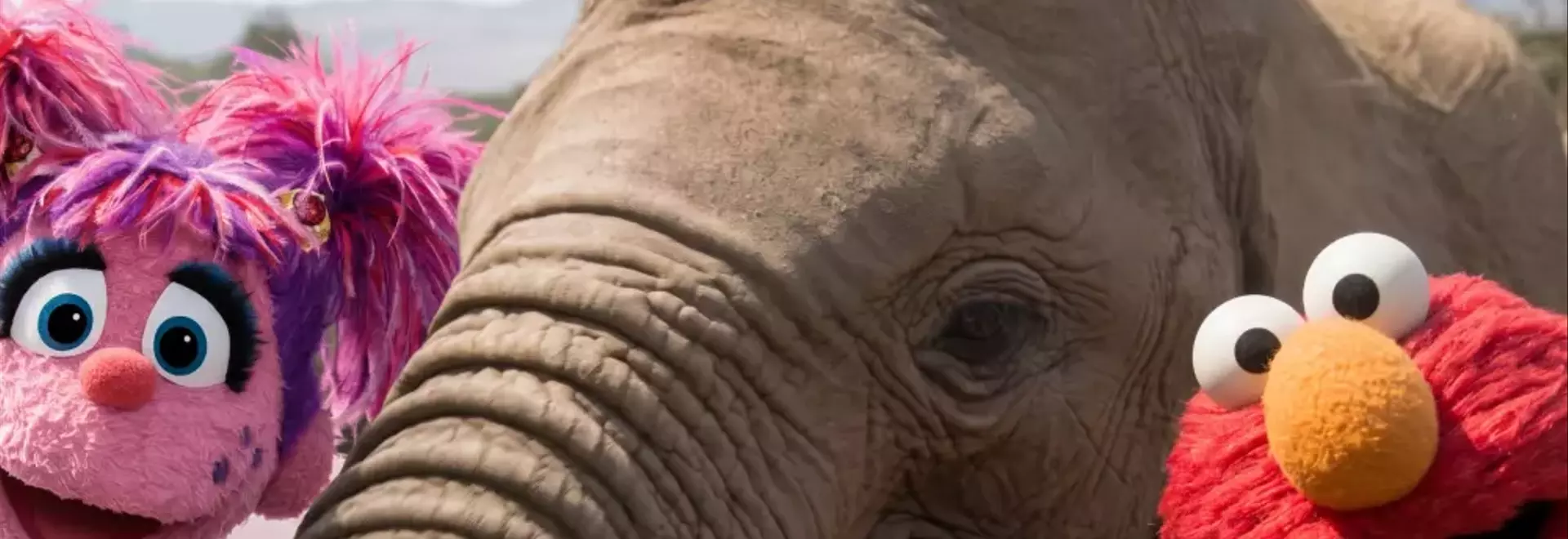Elmo and Friends Embark on an African Safari in 'Sesame Street and the Great Elephant Adventure'