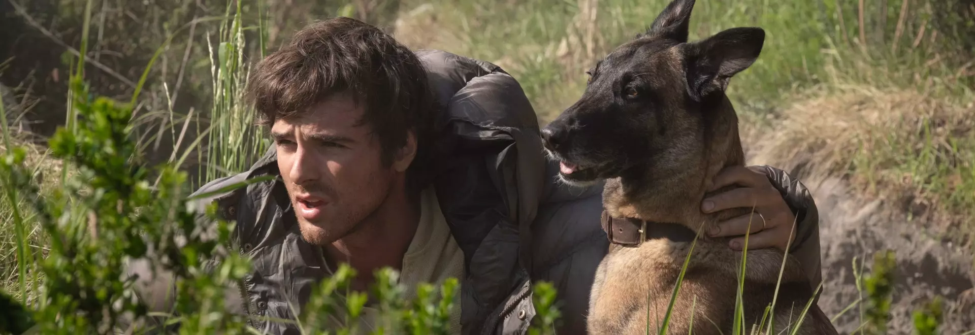 When and Where to Watch 'The Dog Stars' at Home