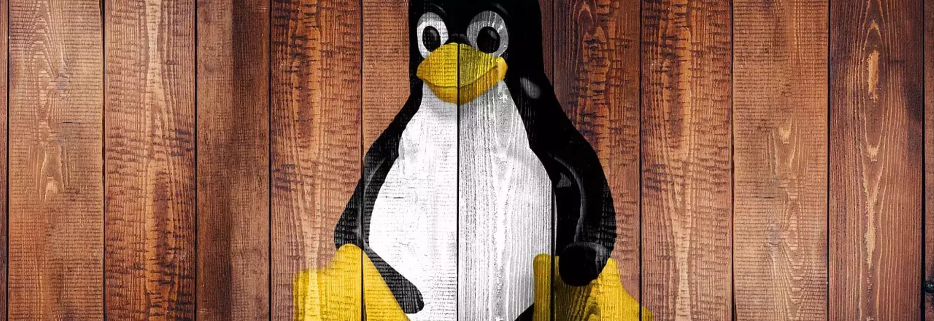 Linux Evades Age Verification Mandate in California, SteamOS Status Uncertain