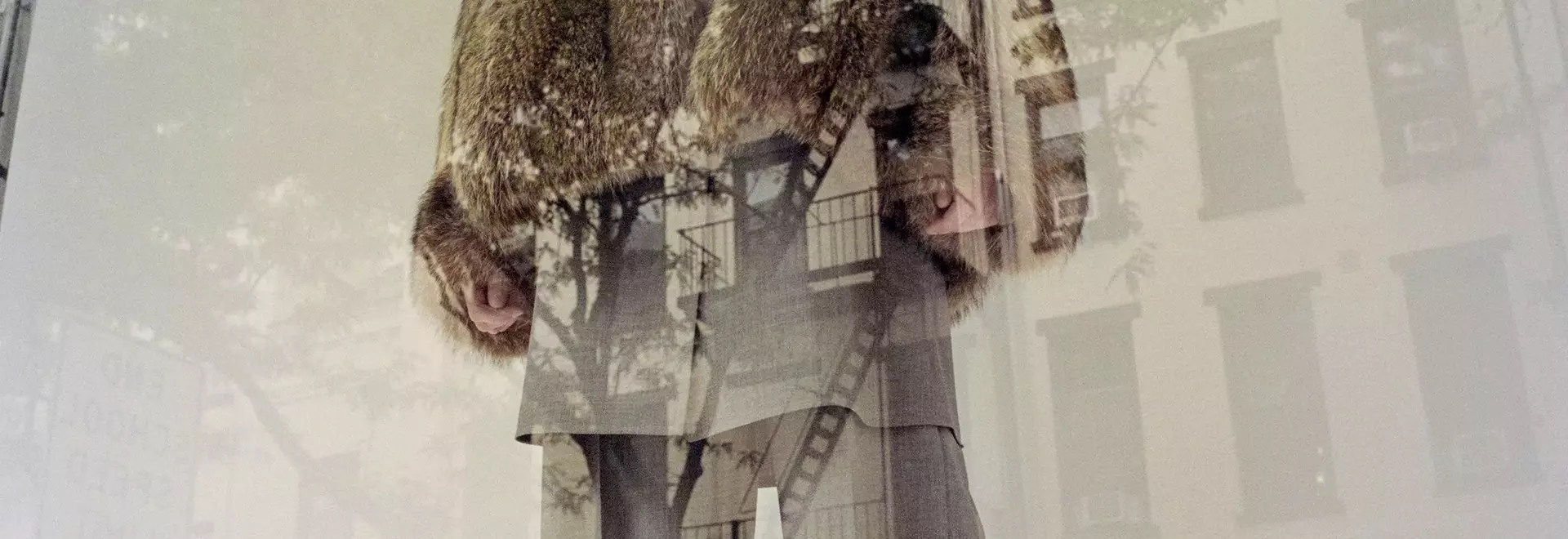 CDLM: A Rebellious Approach to Modern Fashion