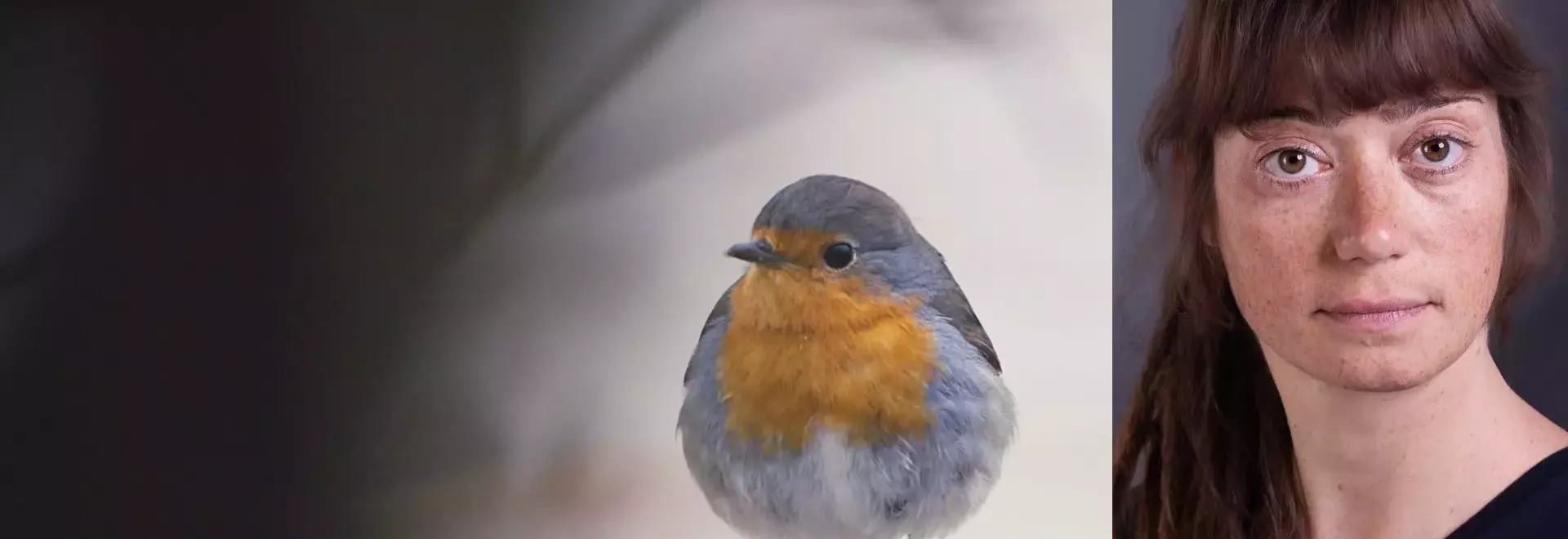 A Documentary on Nature's Resilience in the Face of Industry