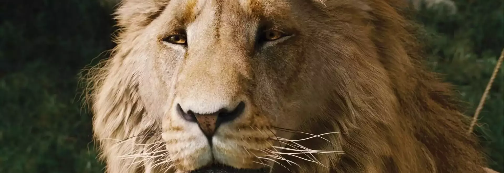 Greta Gerwig's Narnia Film Reveals First Look, Meryl Streep Cast as Aslan