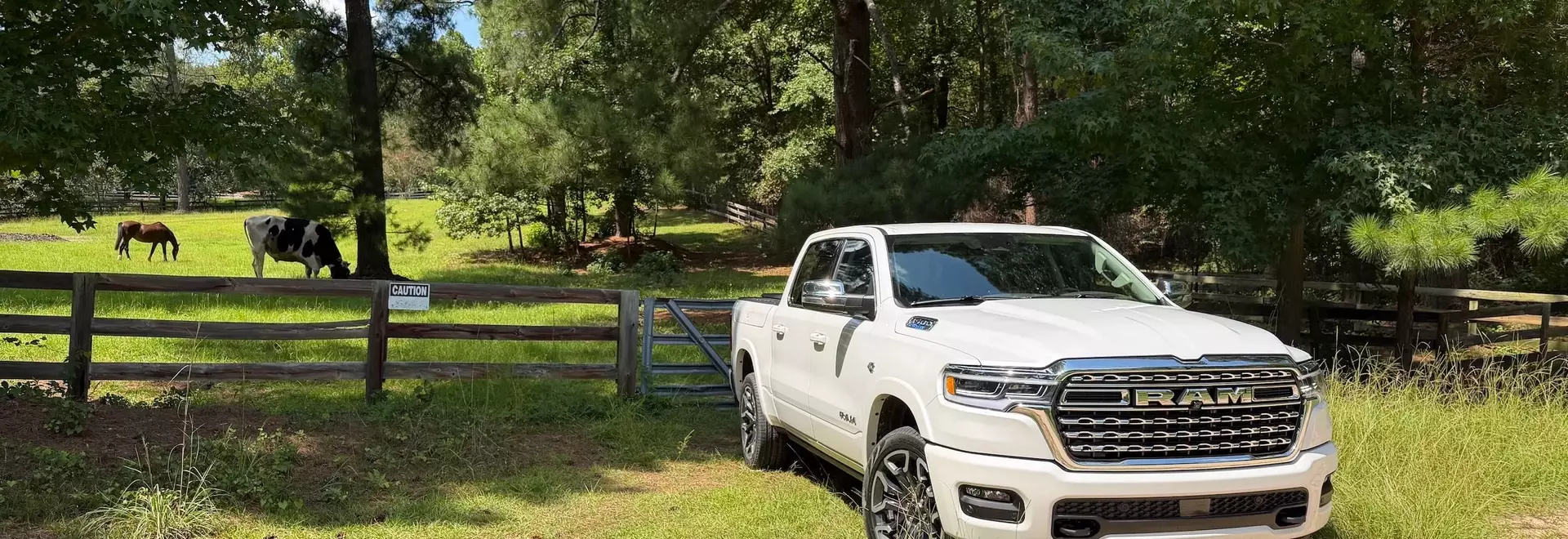 The Enduring Allure of Western-Themed Pickups