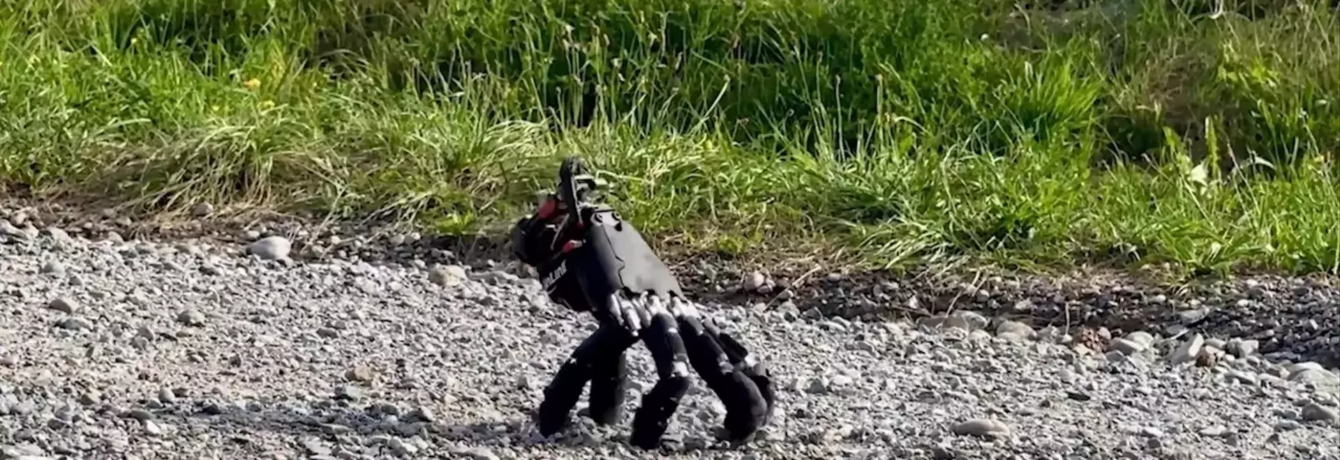 Autonomous Robotic Hand Mimics 'Thing' from Addams Family