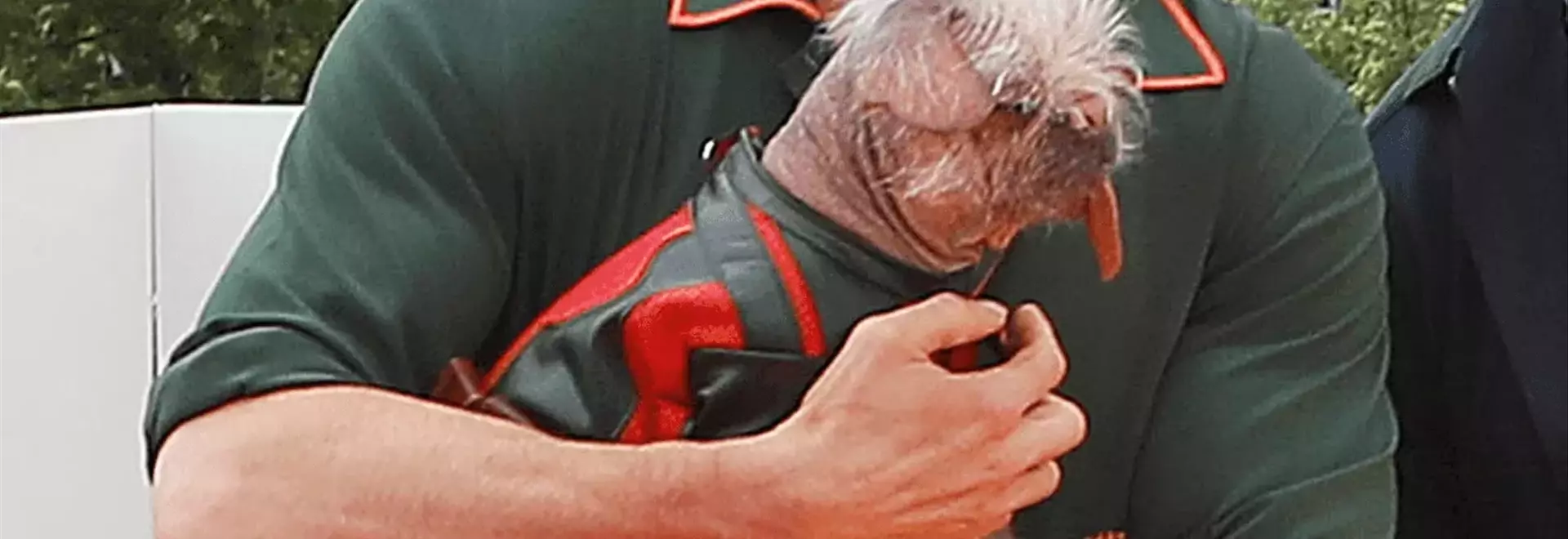 Ryan Reynolds's Exquisite Watch Collection