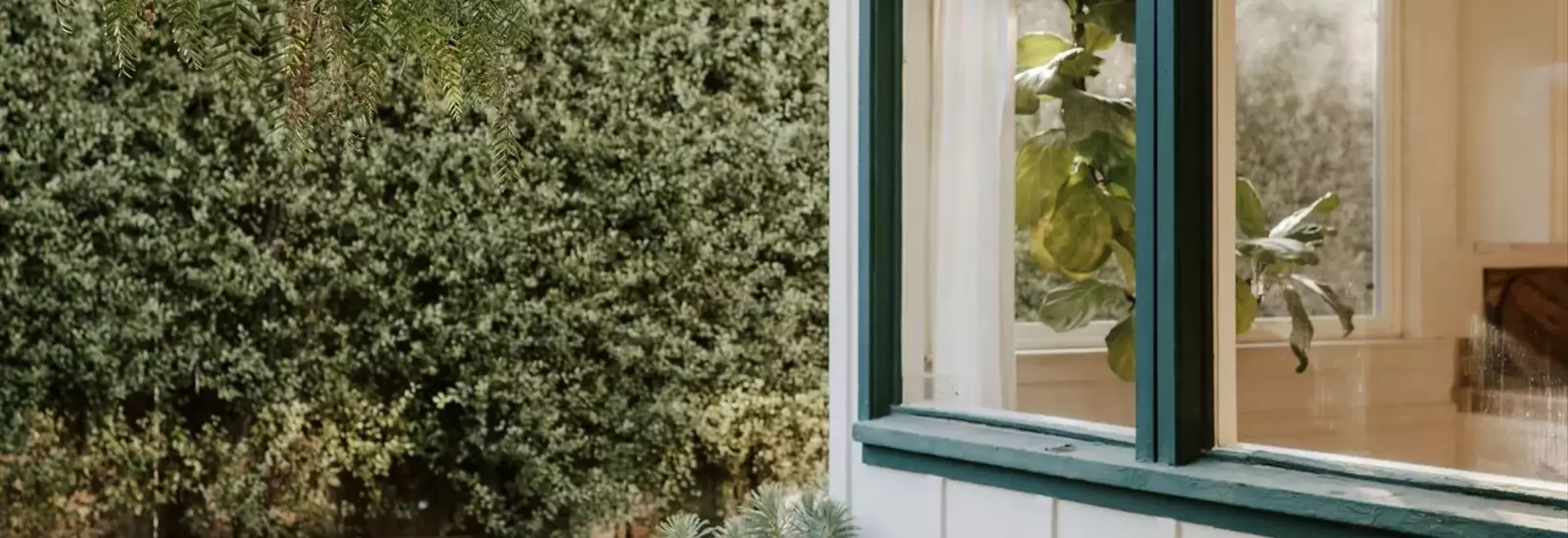 Discovering Big Sur's Coastal Charms: Your Guide to Exquisite Airbnb Retreats