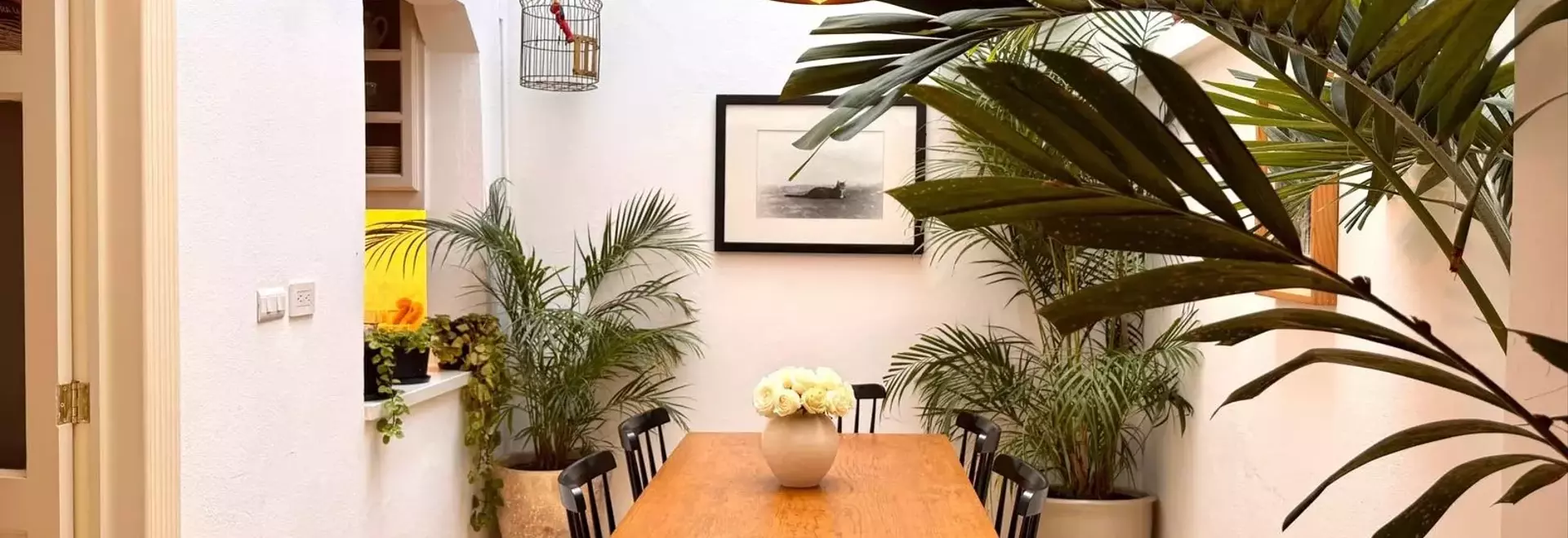 Discover Your Perfect Mexico City Airbnb: A Guide to the Best Stays