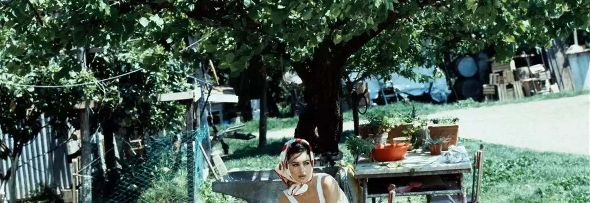 Monica Bellucci: A Journey from Runway to Silver Screen Icon