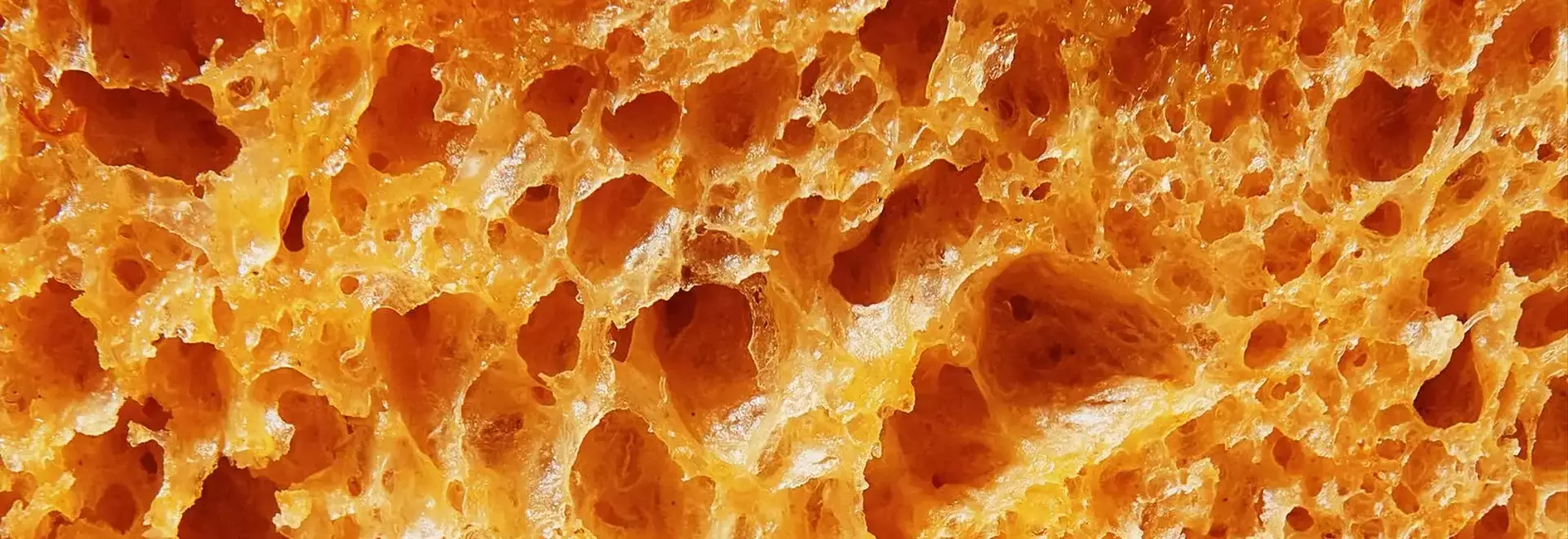 Beyond the Pie: Savory and Sweet Pumpkin Creations
