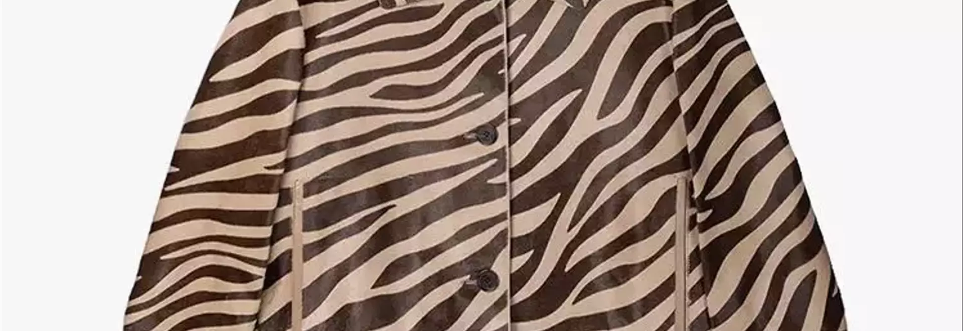 Beyond Leopard: Embracing Zebra Print in Contemporary Fashion