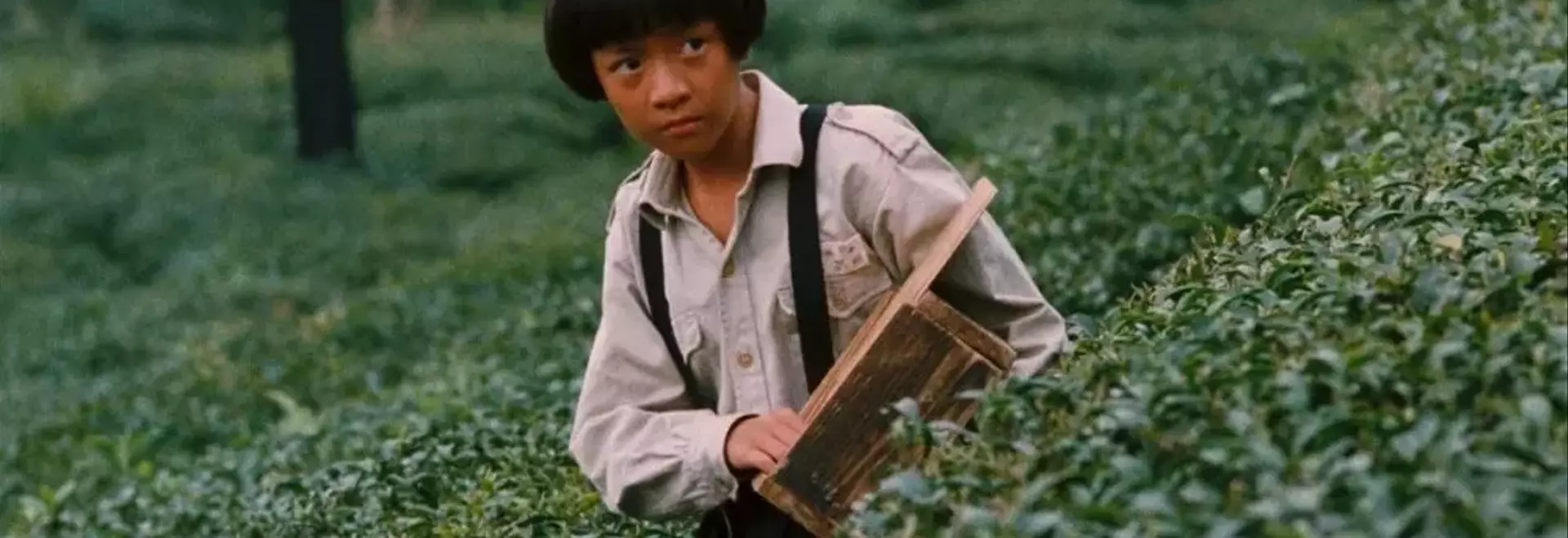 Radiance Films to Release Eight Restored Taiwanese Classics in the U.S. and U.K.
