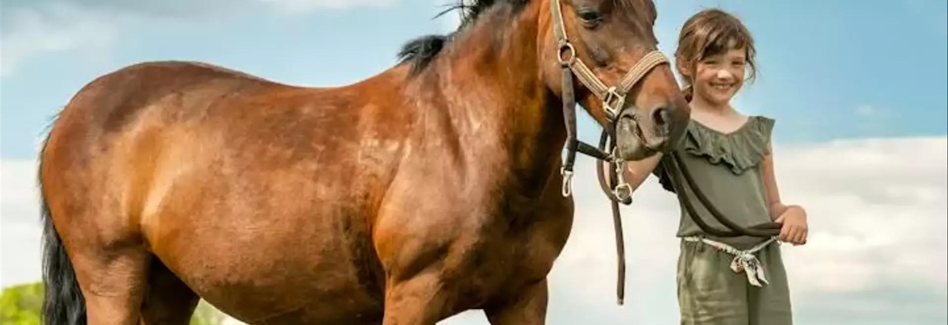 43 Equine-Inspired Names for Your Future Horse Enthusiast