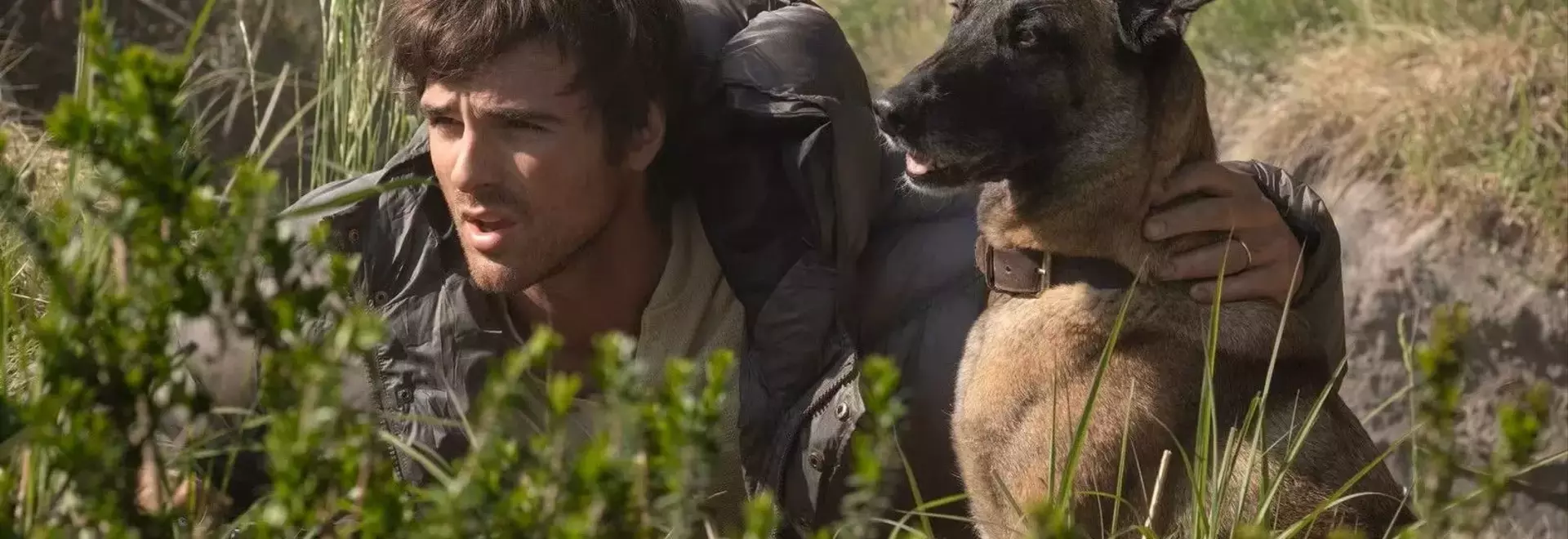 Ridley Scott's 'The Dog Stars' Moves to Streaming After Box Office Struggles