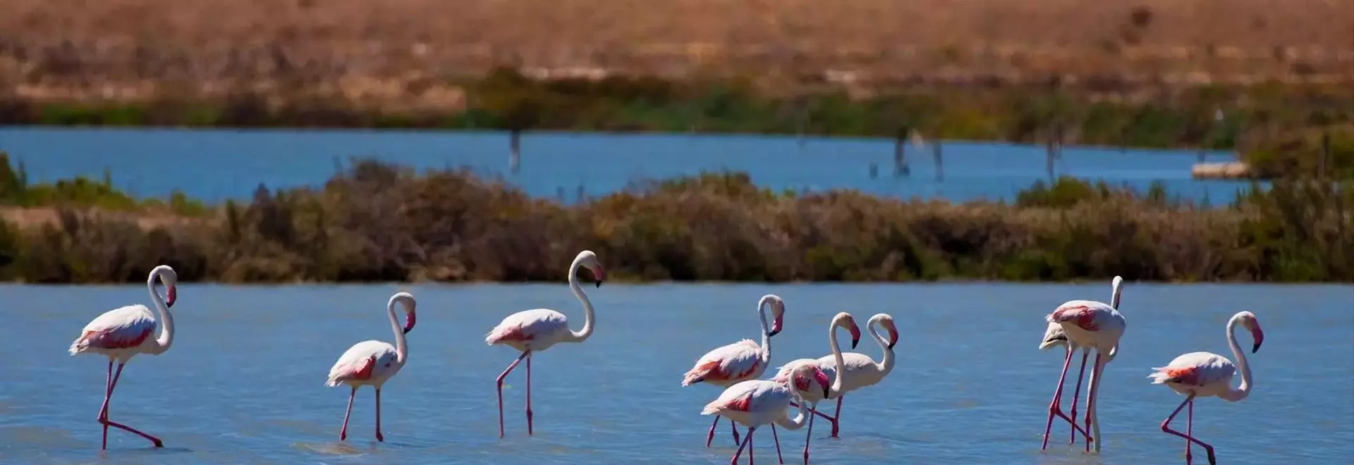 Global Birdwatching Destinations