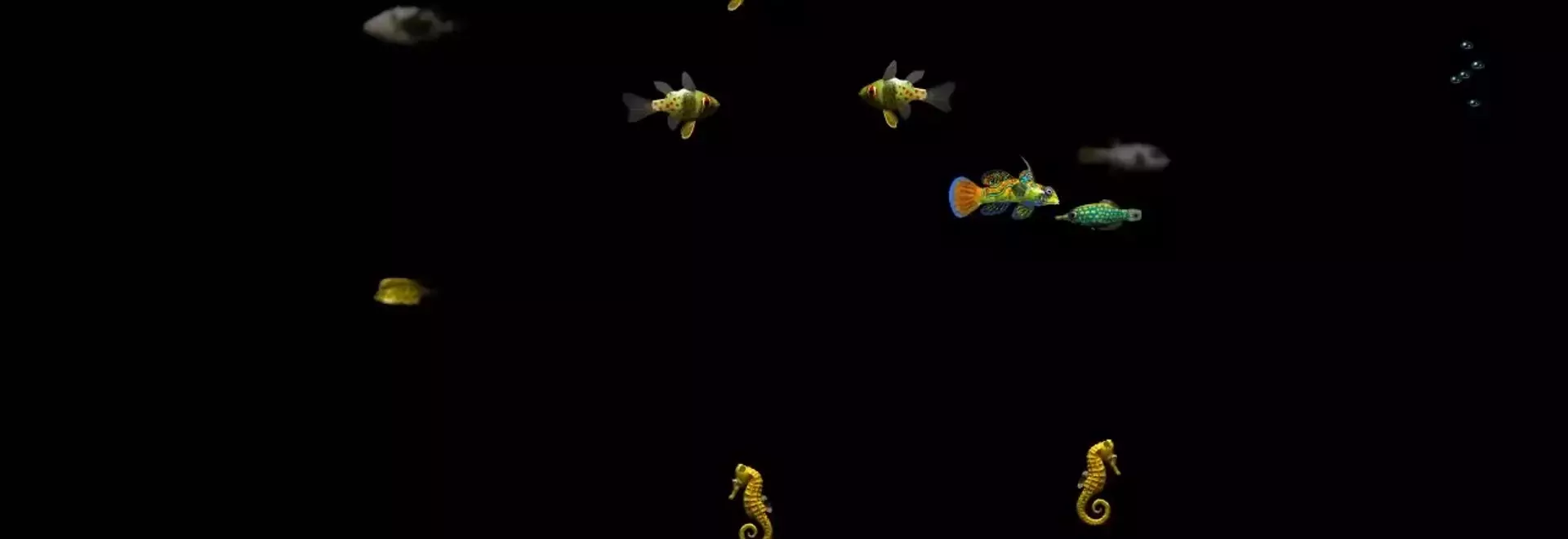 The Origin Story of the Iconic Windows Fish Screensaver