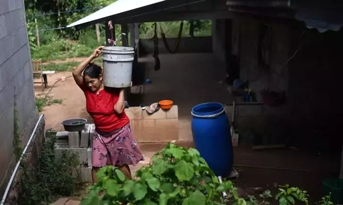 El Niño's Deadly Impact: Over 450,000 Lives at Risk from Extreme Heat