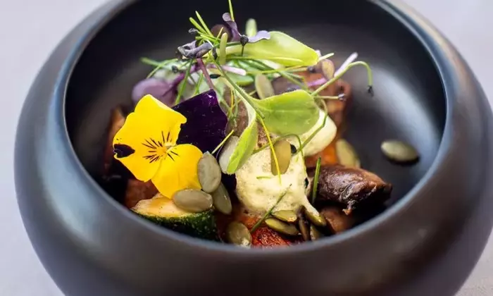 A Culinary Voyage: Redefining Cruise Ship Dining with Plant-Based Delights